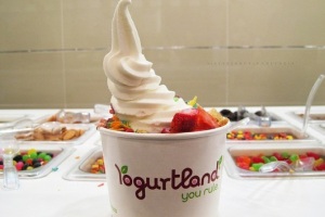 (yogurt-land.com)