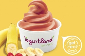 (yogurt-land.com)